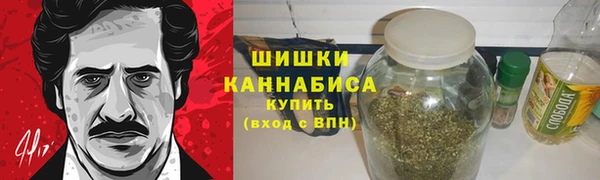 ГАЛЛЮЦИНОГЕННЫЕ ГРИБЫ Гусиноозёрск